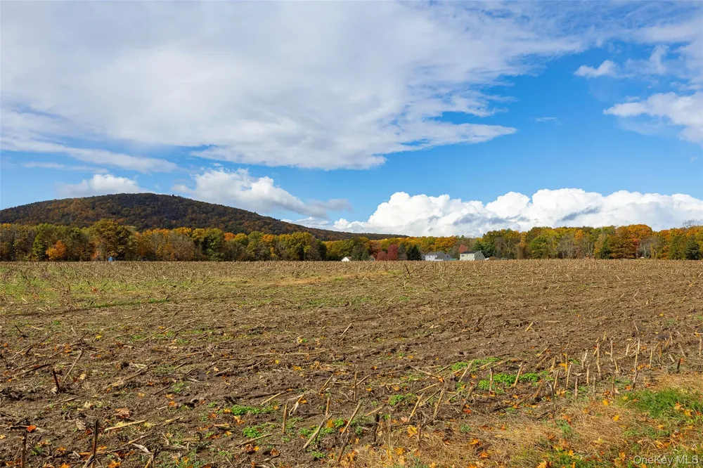 82 Lake Road Pine Plains, NY 12567