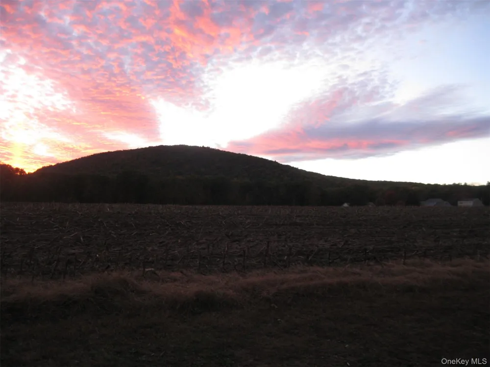 82 Lake Road Pine Plains, NY 12567