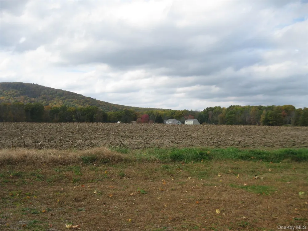 82 Lake Road Pine Plains, NY 12567