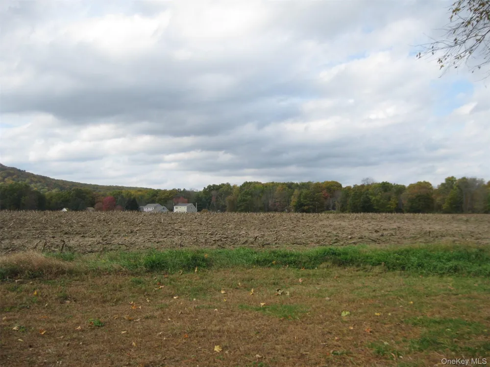 82 Lake Road Pine Plains, NY 12567