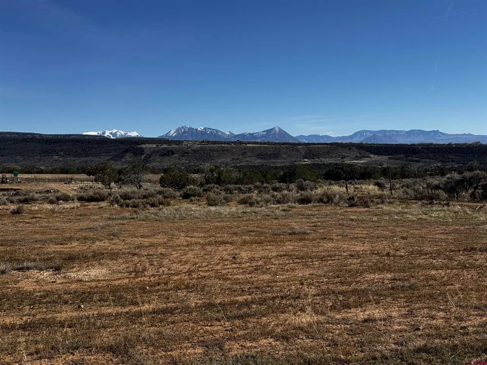 14 2625 LANE Cedaredge, CO 81413
