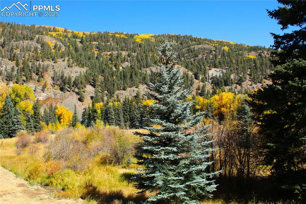 38938 Nf-250 Road Antonito, CO 81120