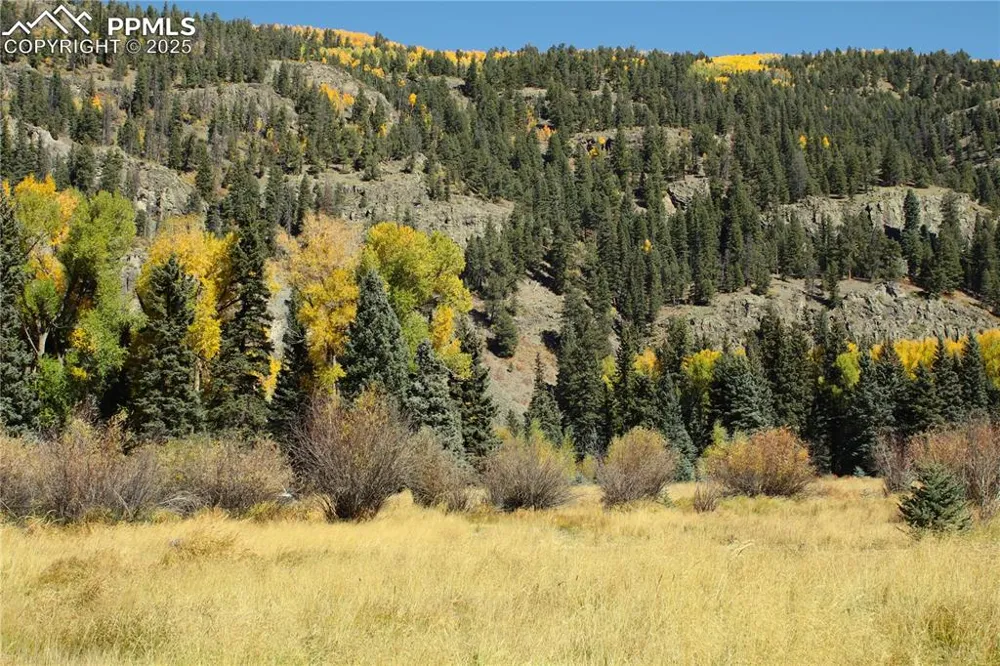 38938 Nf-250 Road Antonito, CO 81120