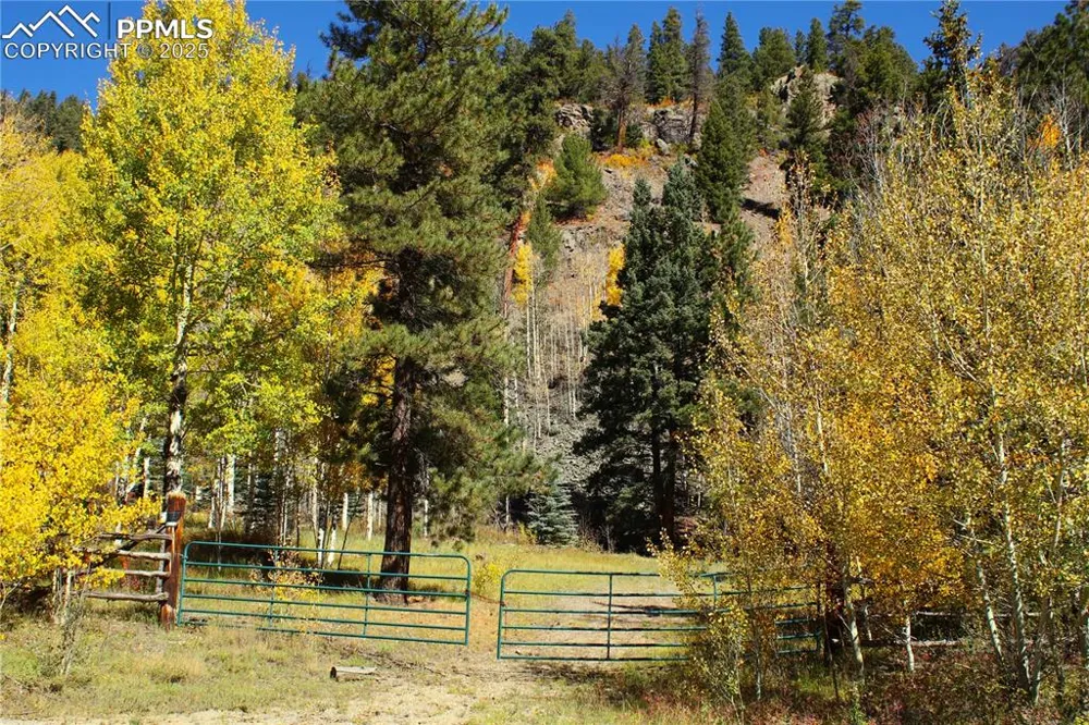 38938 Nf-250 Road Antonito, CO 81120