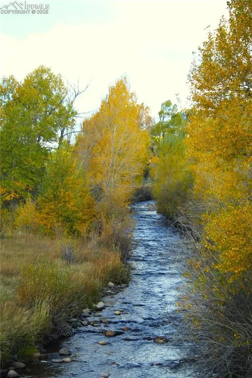 38938 Nf-250 Road Antonito, CO 81120