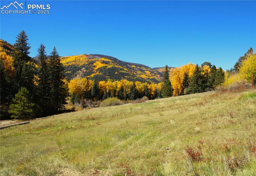 38938 Nf-250 Road Antonito, CO 81120
