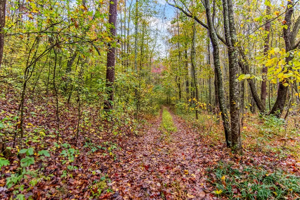 5618 Highway 52 Dawsonville, GA 30534