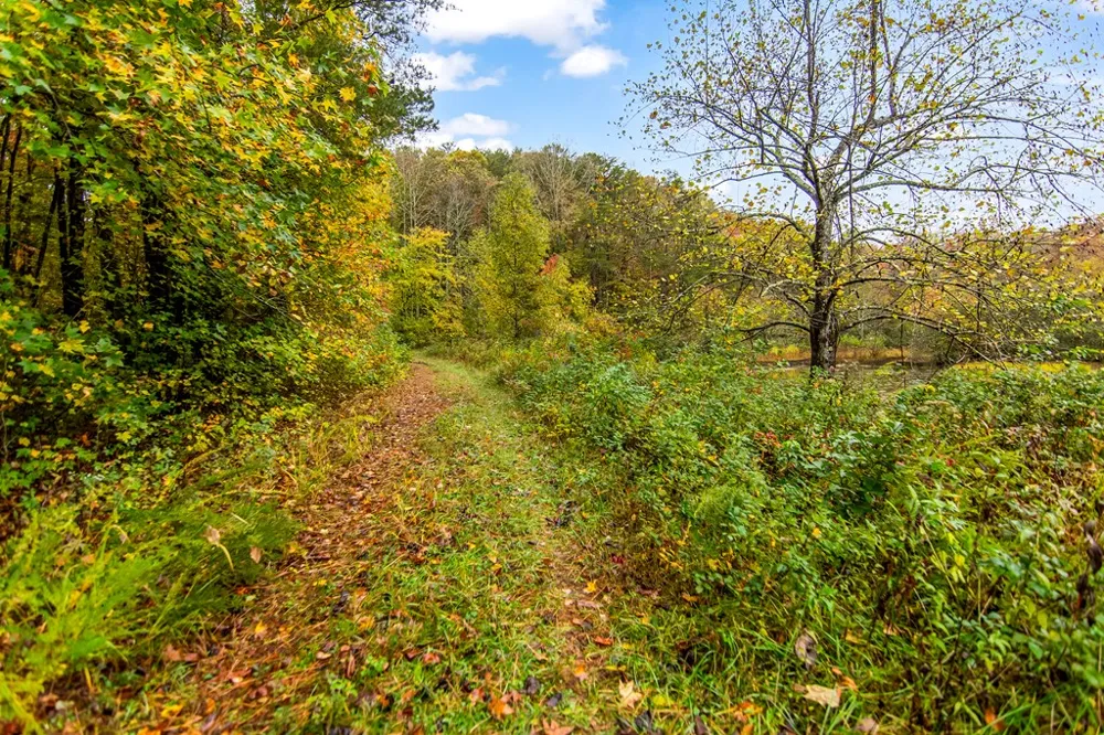 5618 Highway 52 Dawsonville, GA 30534