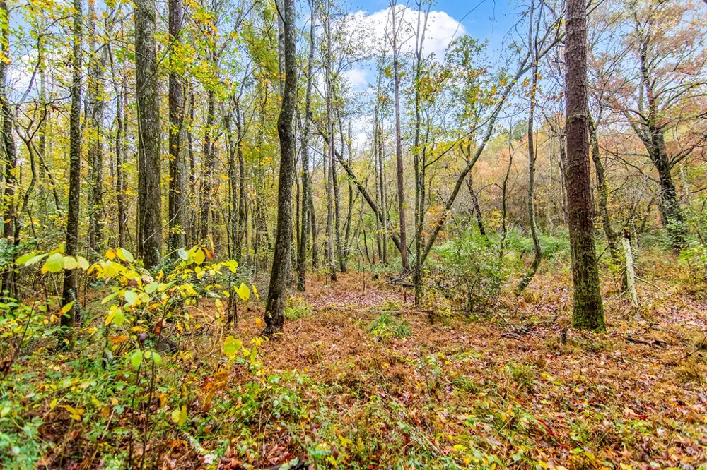 5618 Highway 52 Dawsonville, GA 30534