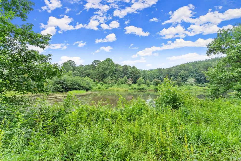 5618 Highway 52 Dawsonville, GA 30534
