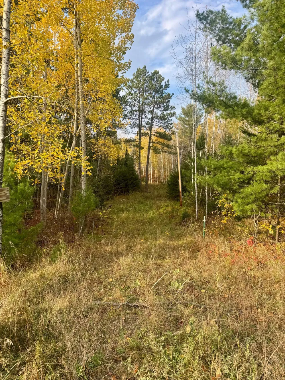 18686 State Highway 200 Jacobson, MN 55752