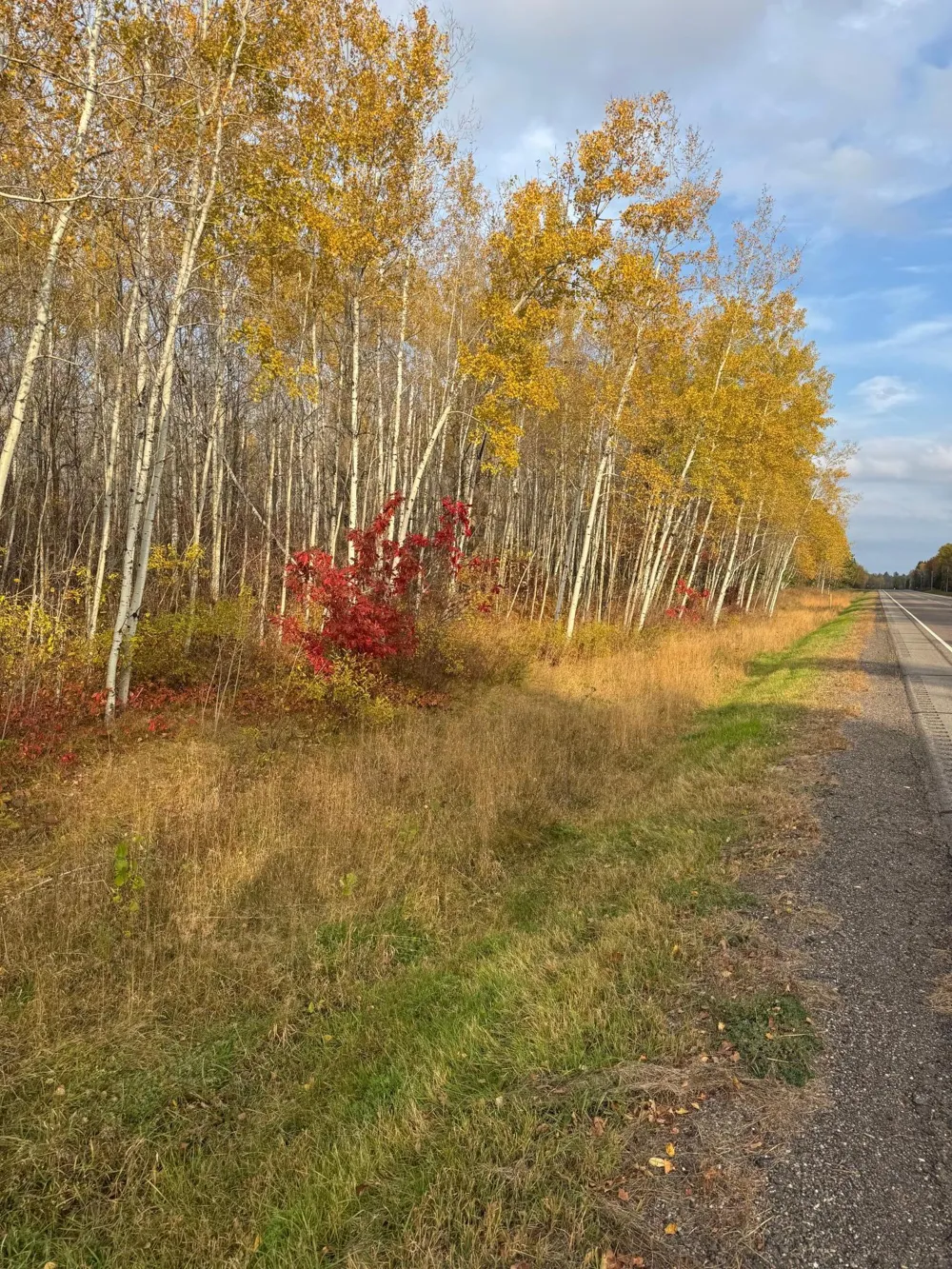 18686 State Highway 200 Jacobson, MN 55752