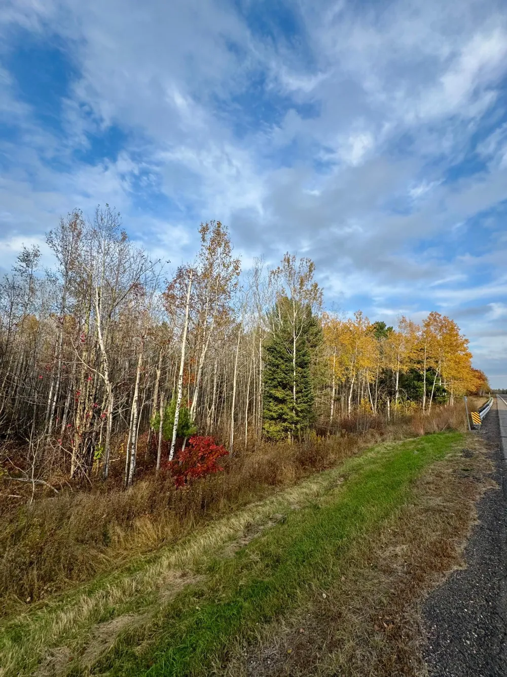 18686 State Highway 200 Jacobson, MN 55752