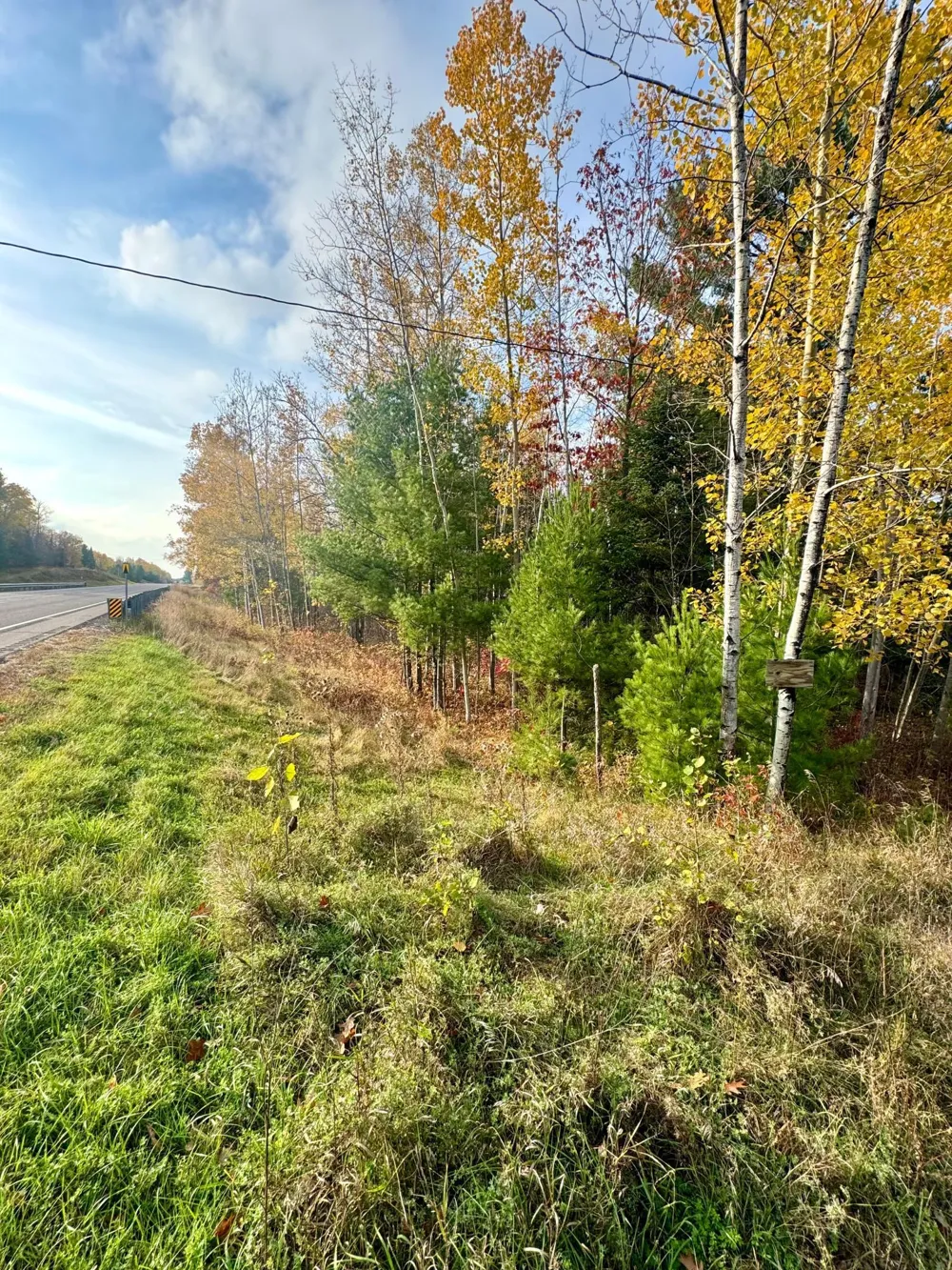 18686 State Highway 200 Jacobson, MN 55752