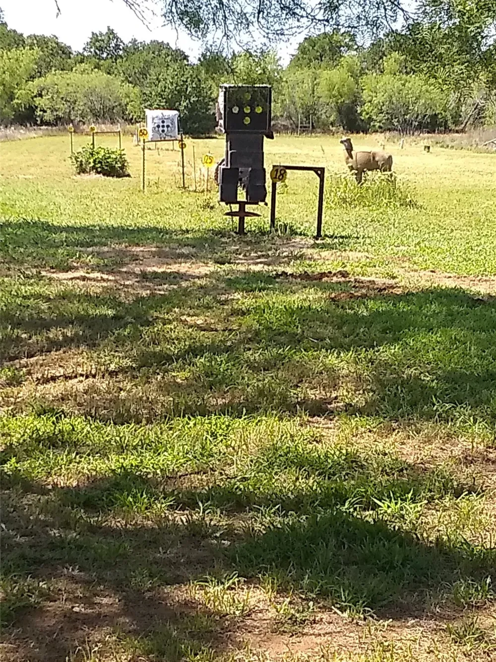 1800 County Road 479 Gorman, TX 76454