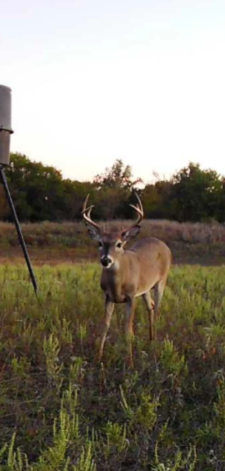 1800 County Road 479 Gorman, TX 76454