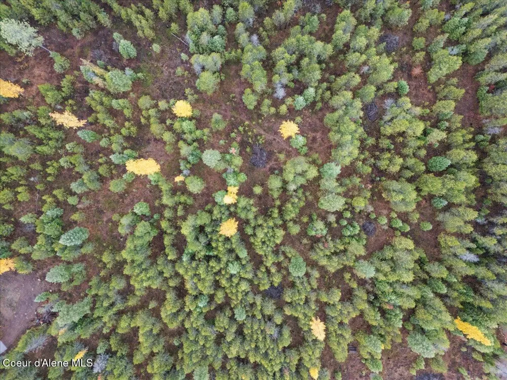 NNA Ares Acres Lot 4 Priest River, ID 83856