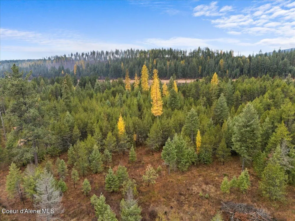 NNA Ares Acres Lot 4 Priest River, ID 83856