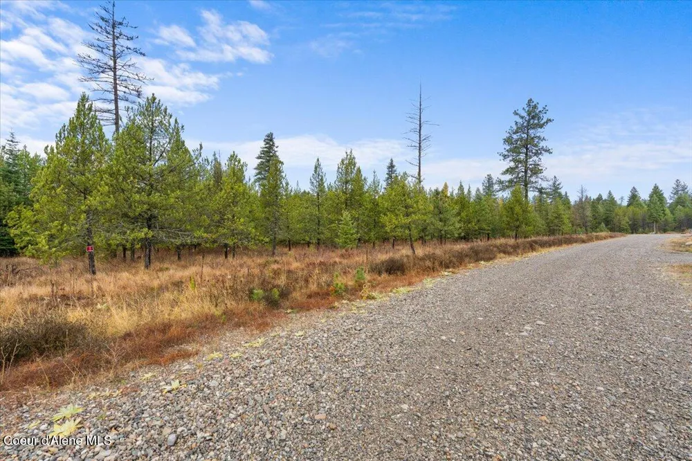 NNA Ares Acres Lot 4 Priest River, ID 83856