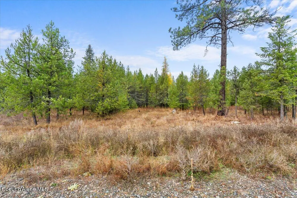 NNA Ares Acres Lot 4 Priest River, ID 83856