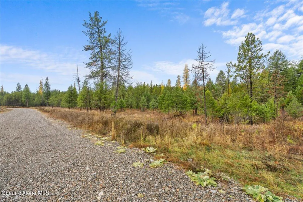 NNA Ares Acres Lot 4 Priest River, ID 83856