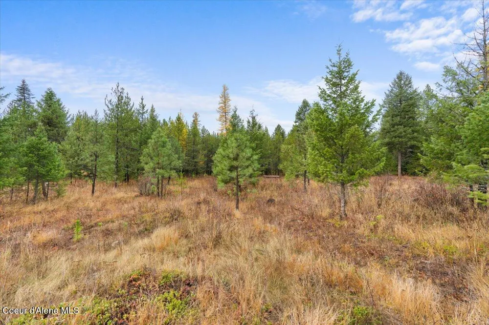 NNA Ares Acres Lot 4 Priest River, ID 83856