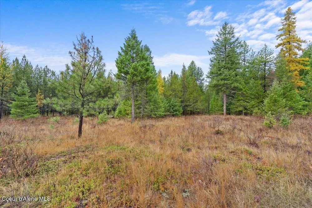NNA Ares Acres Lot 4 Priest River, ID 83856