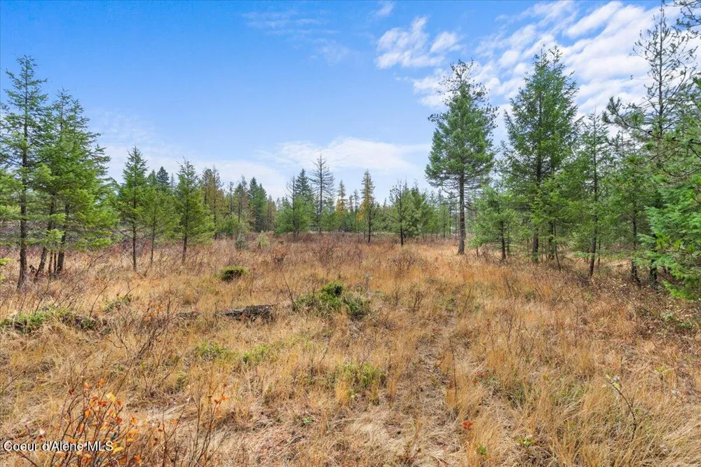 NNA Ares Acres Lot 4 Priest River, ID 83856