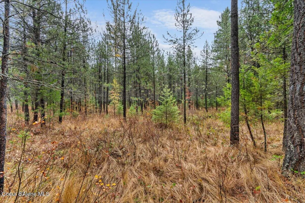 NNA Ares Acres Lot 4 Priest River, ID 83856