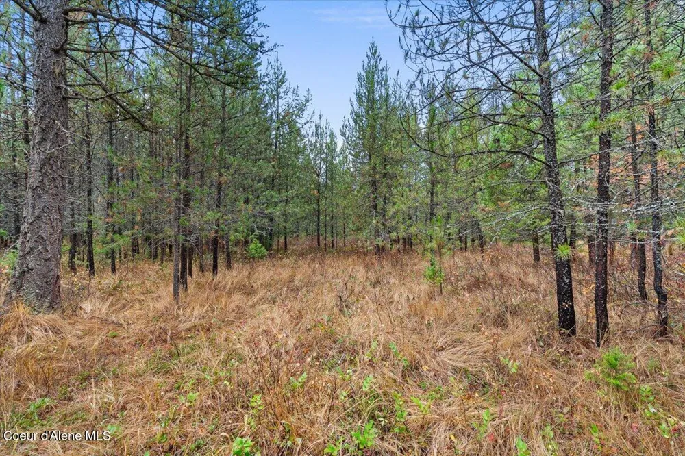 NNA Ares Acres Lot 4 Priest River, ID 83856