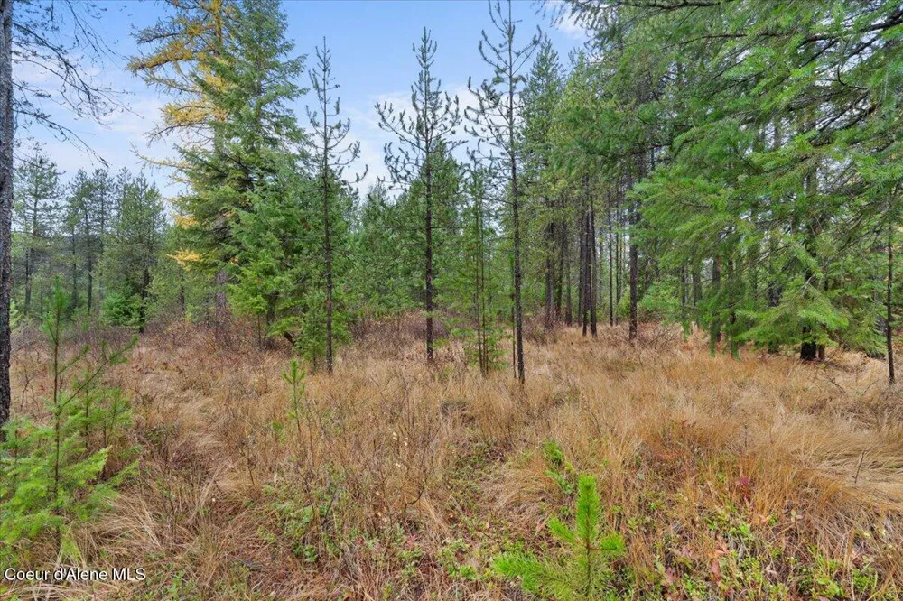 NNA Ares Acres Lot 4 Priest River, ID 83856