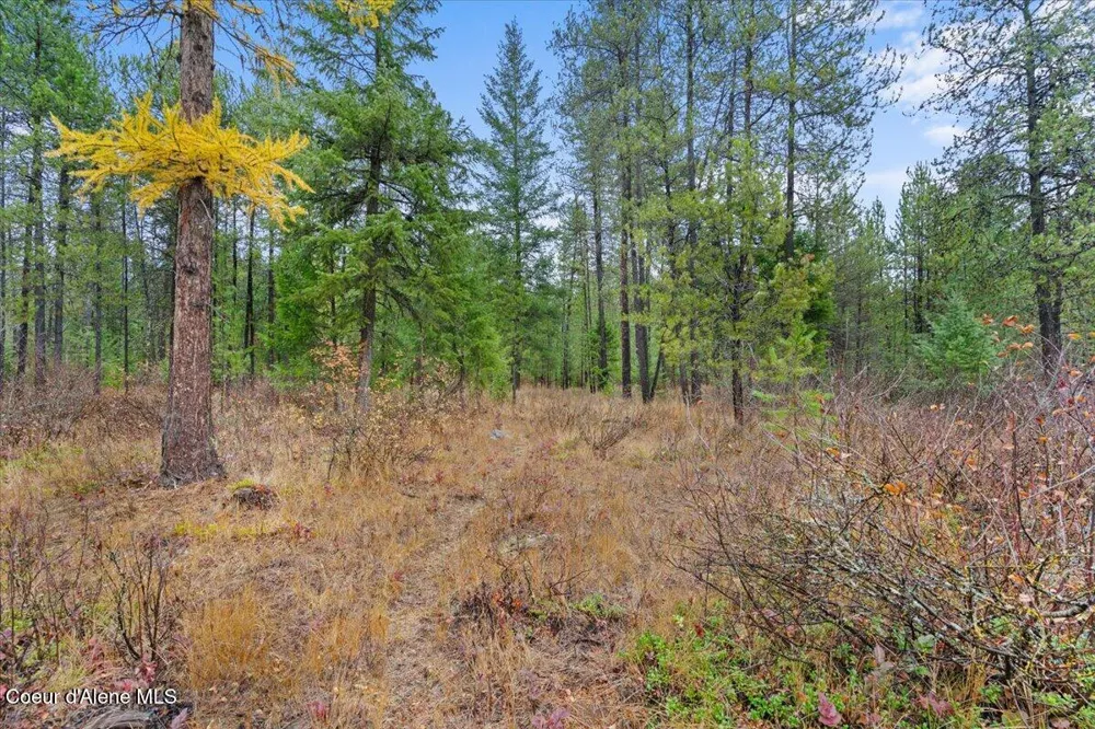 NNA Ares Acres Lot 4 Priest River, ID 83856