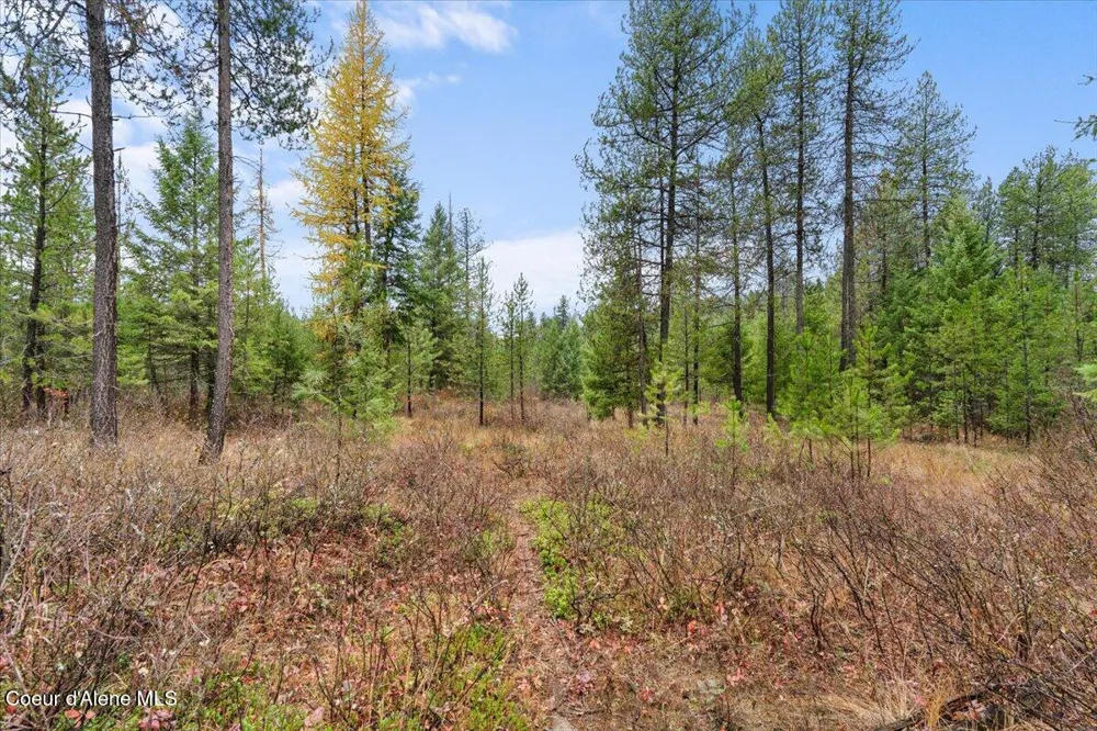 NNA Ares Acres Lot 4 Priest River, ID 83856