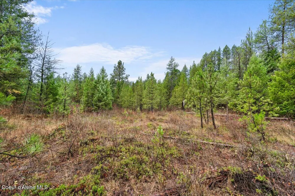 NNA Ares Acres Lot 4 Priest River, ID 83856