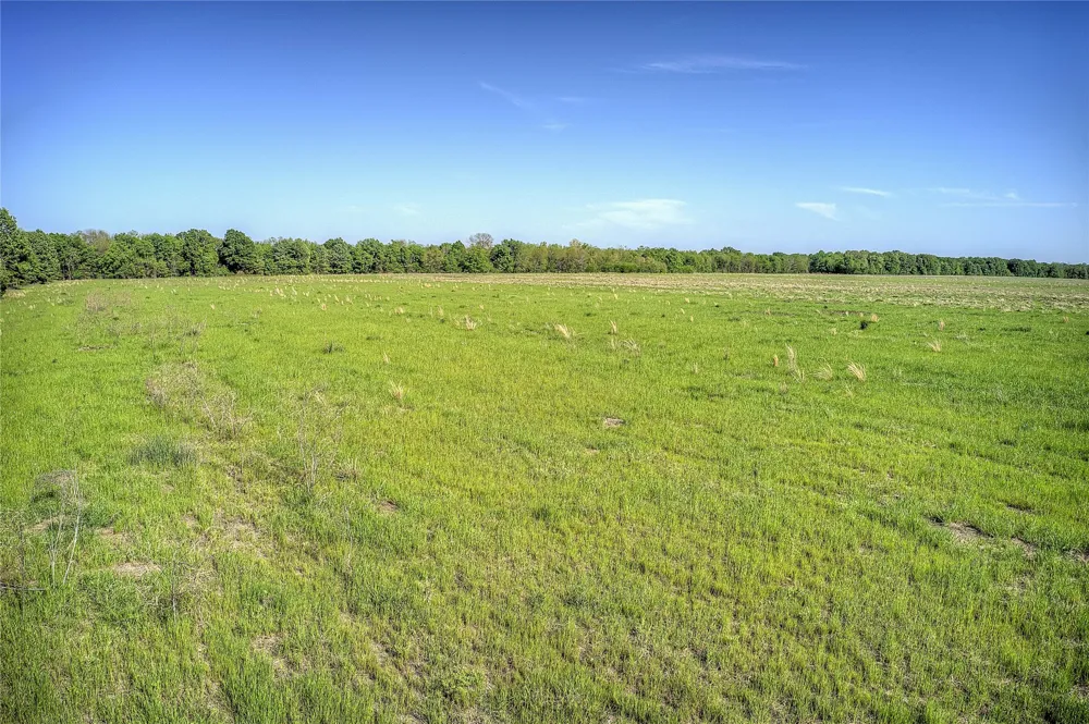 1 FM 412 Clarksville, TX 75426