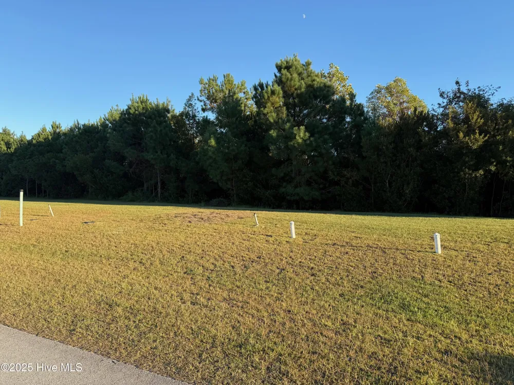 157 Whispering Pine Lane Holly Ridge, NC 28445