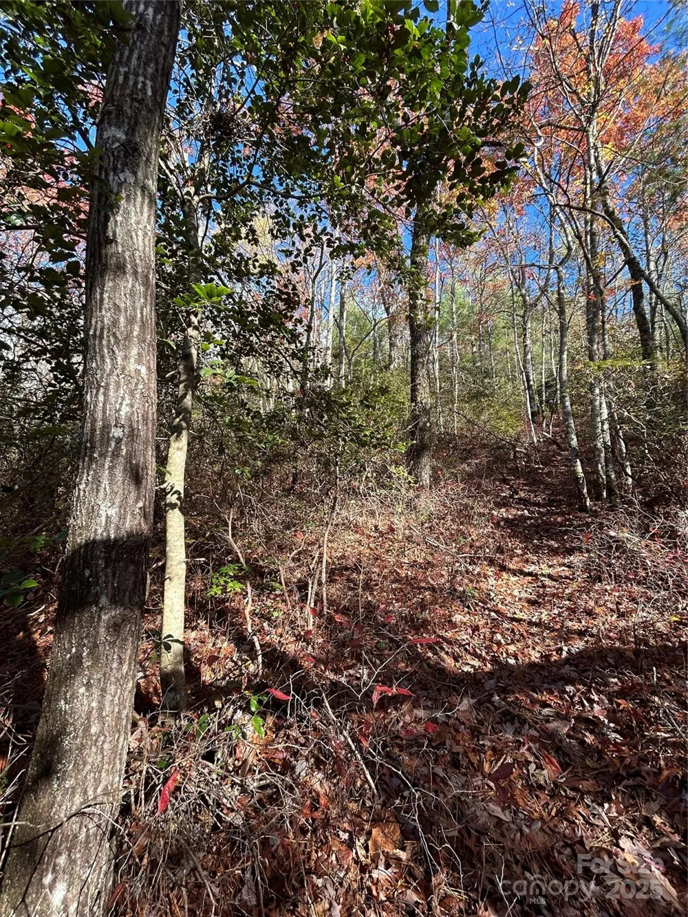 Lot 3 and 4 Oriole Road Brevard, NC 28712