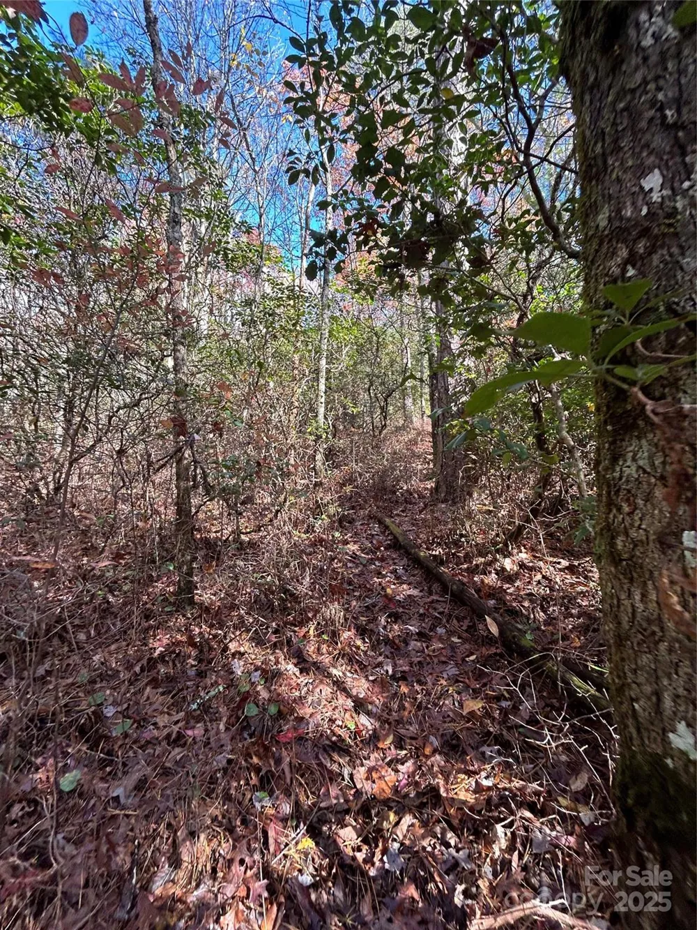 Lot 3 and 4 Oriole Road Brevard, NC 28712