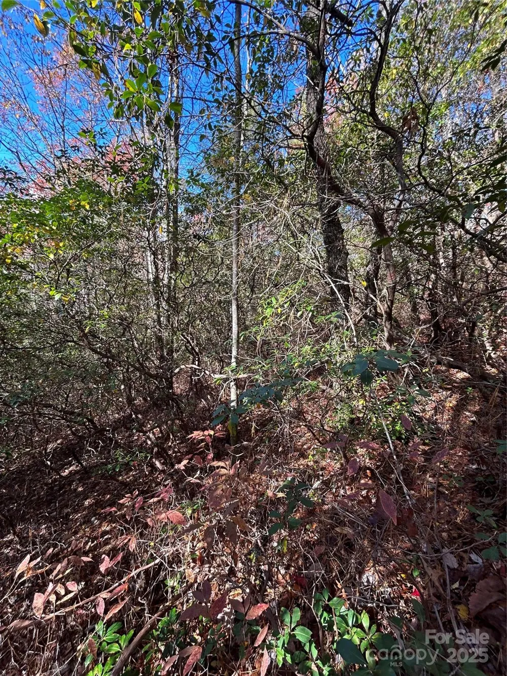 Lot 3 and 4 Oriole Road Brevard, NC 28712