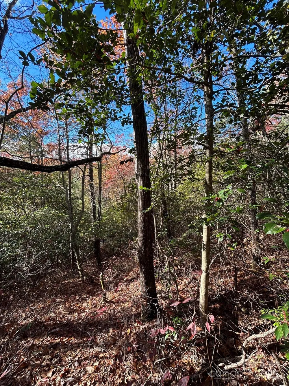 Lot 3 and 4 Oriole Road Brevard, NC 28712