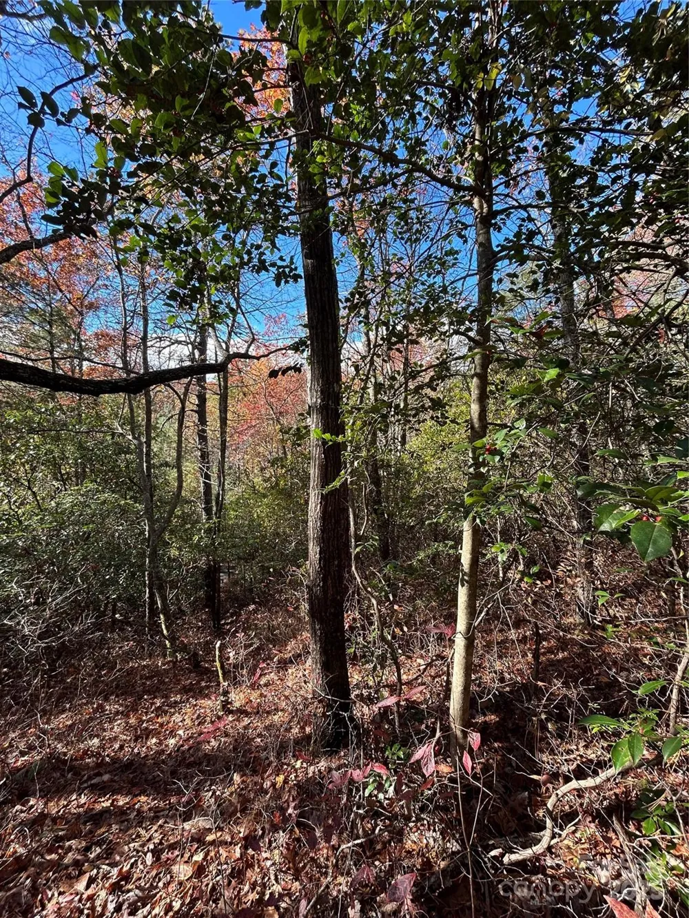 Lot 3 and 4 Oriole Road Brevard, NC 28712