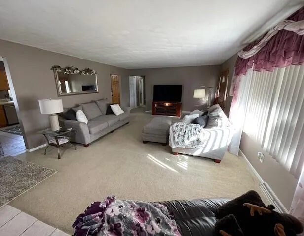 232 Lyn Brook Drive Girard Township, MI 49036