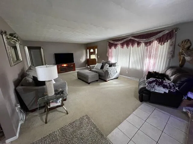 232 Lyn Brook Drive Girard Township, MI 49036