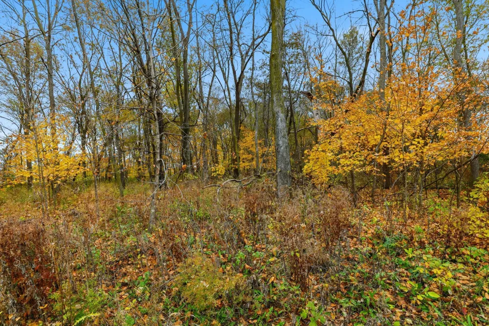32XX 121st Street E Dundas, MN 55019