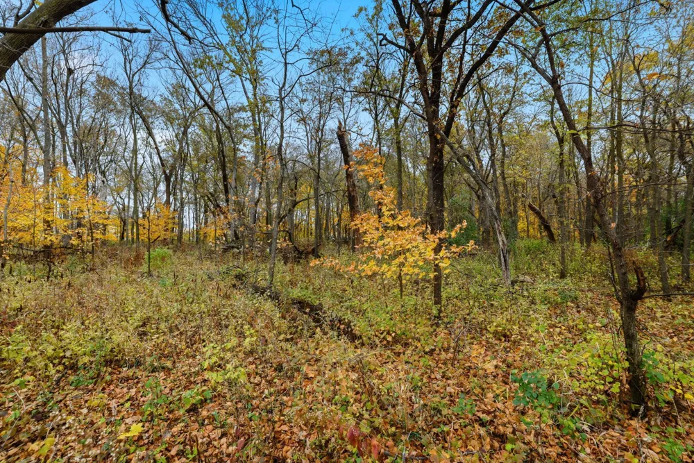 32XX 121st Street E Dundas, MN 55019
