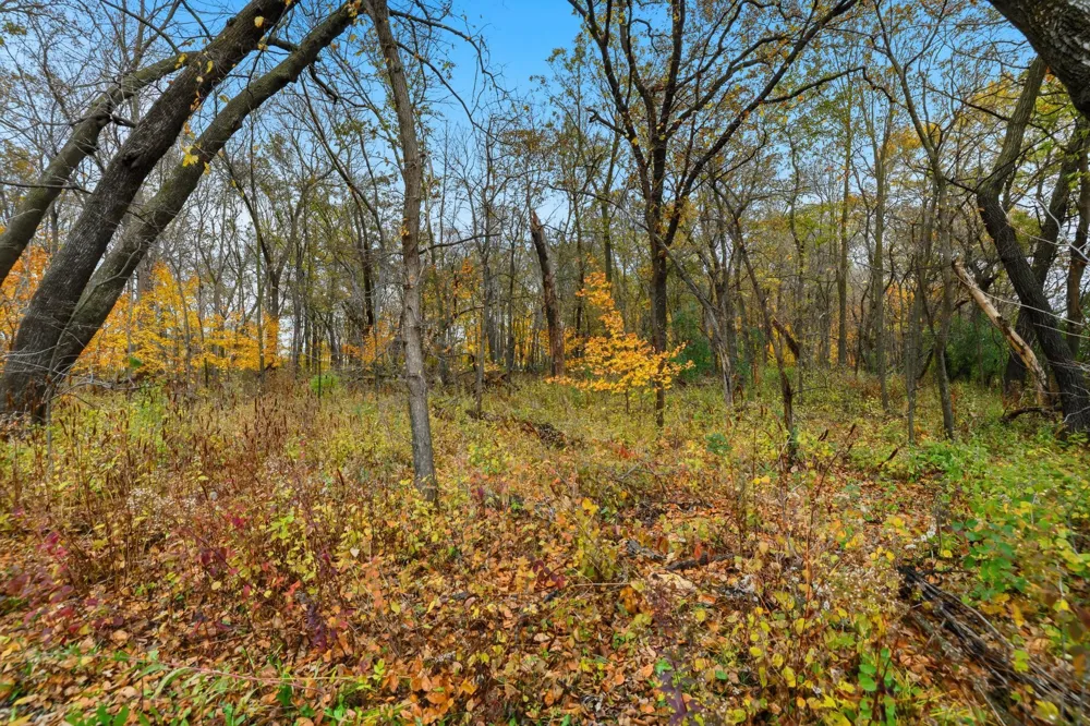 32XX 121st Street E Dundas, MN 55019