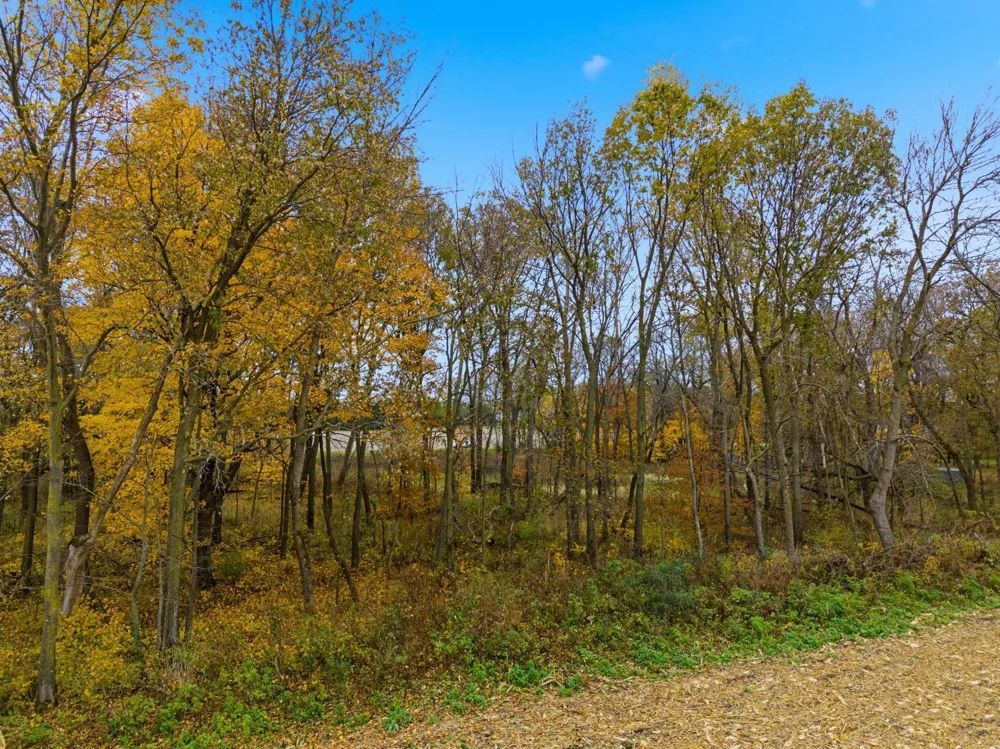 32XX 121st Street E Dundas, MN 55019