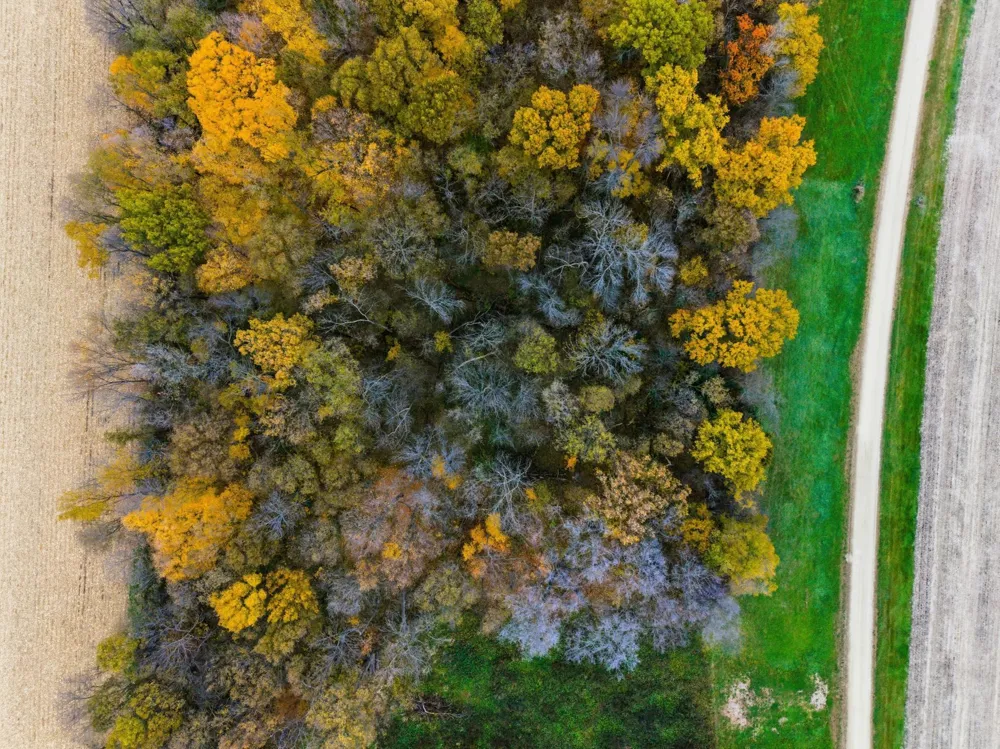 32XX 121st Street E Dundas, MN 55019