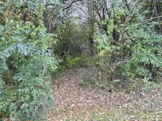 910 1st Street #TRL 38 Glenwood City, WI 54013