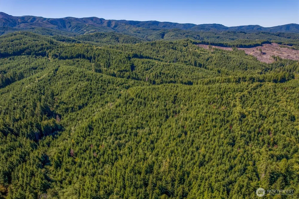 6 Parpala Road #6 Naselle, WA 98638